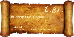 Budaspitz Csaba névjegykártya